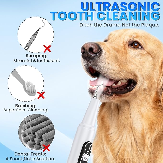 Dog Plaque Remover with UV Sanitizing Chamber,6 Modes,Waterproof | Built-in UV Sanitizing Storage Chamber,Stores & Sanitizes Metal Tips After Use,6 Cleaning Modes for Different Needs