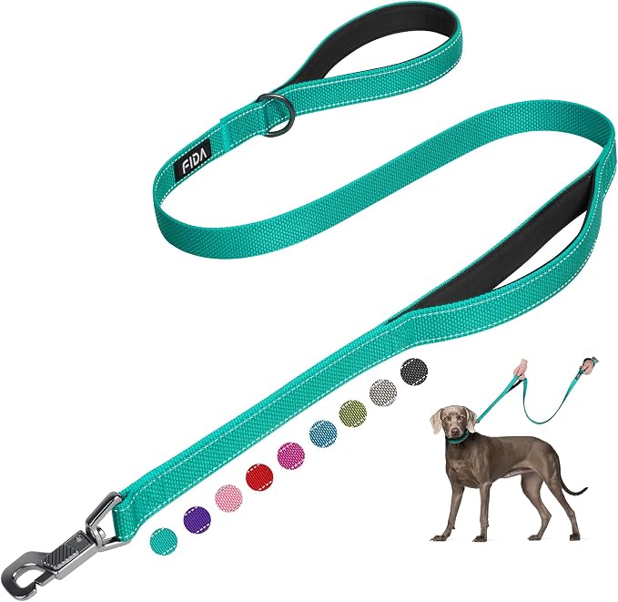 Fida 5 FT Heavy Duty Dog Leash with 2 Comfortable Padded Handles, Traffic Handle & Advanced Easy Snap Hook, Reflective Walking Lead for Large, Medium & Small Breed Dogs, Teal