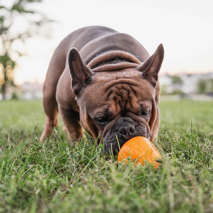 Chew King by Mammoth Large Premium Treater Dog Toy - Extremely Durable Natural Rubber Toy, Bacon Flavored Dog Treater, Dogs 25-50lbs - Orange