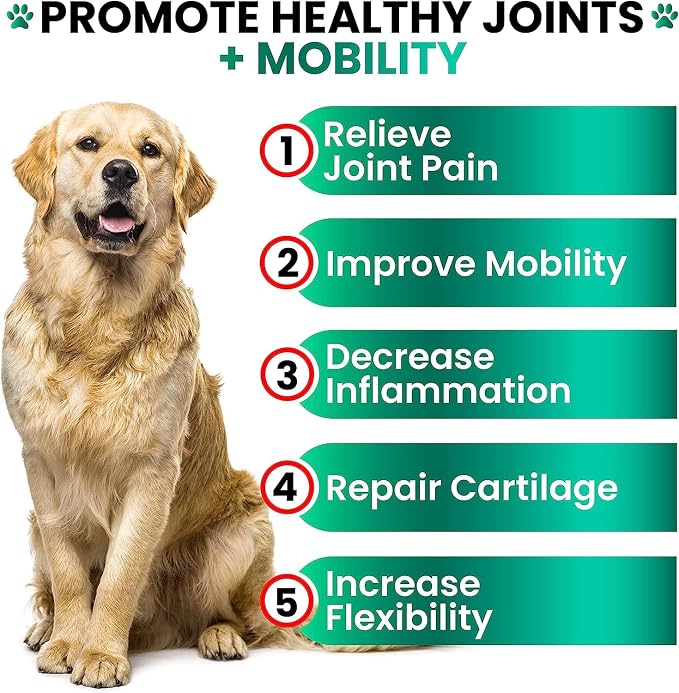 (2 Pack) Hemp Hip and Joint Supplement for Dogs - Glucosamine for Dogs