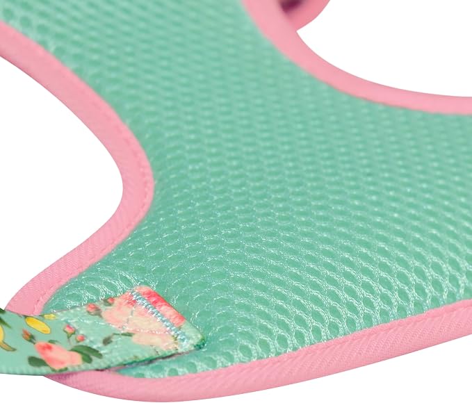 Blueberry Pet Mint Floral Print Mesh Dog Harness Vest for Medium Dogs,Soft Breathable Adjustable Dog Harness