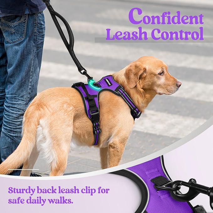 rabbitgoo Dog Harness, No Pull for Small Dogs with 2 Leash Clips, Pet Vest | No Choke with Handle, Adjustable Soft Padded, Reflective, Easy Control for Walking, Purple, Small
