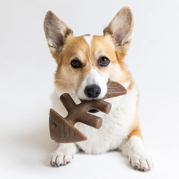 Benebone Wishbone and Fishbone Durable Dog Chew Toys for Aggressive Chewers, Made in USA