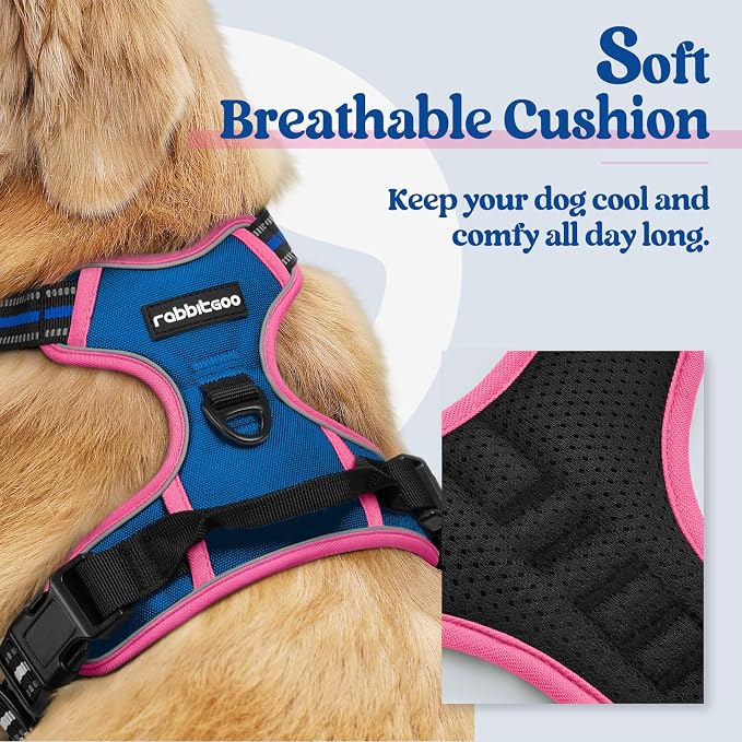 rabbitgoo Dog Harness, No Pull Medium Sized with 2 Leash Clips, Pet Vest | No Choke with Handle, Adjustable Soft Padded, Reflective, Easy Control for Walking, Blue & Hot Pink, Medium