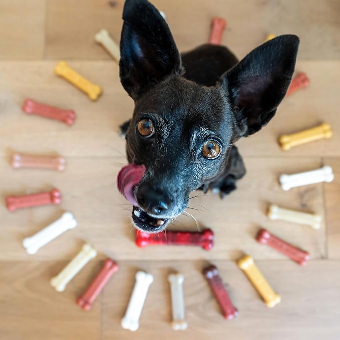 Nylabone Power Chew Customer Favorites Dog Chew Toys, 3 Count, Small | Flavor Medley, peanut butter, and beef flavor, durable dog toys for aggressive chewers, for large breeds up to 25 lbs