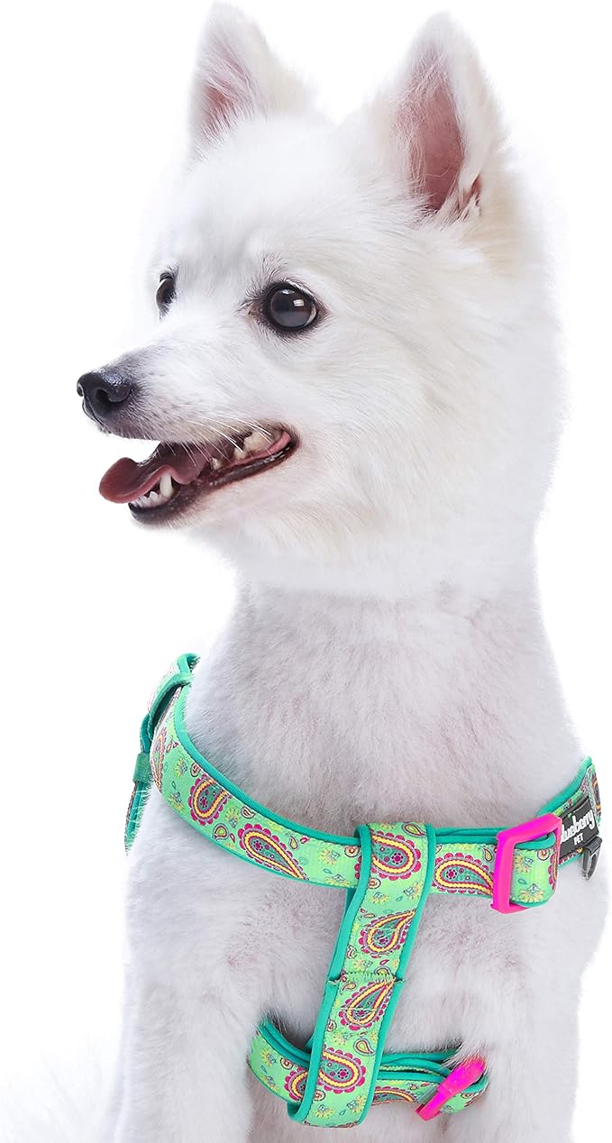 Blueberry Pet 5 Colors Soft & Comfy Step-in Paisley Flower Print Dog Harness, Chest Girth 16.5" - 21.5", Emerald Green, Small, Adjustable Harnesses for Dogs