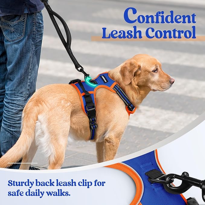 rabbitgoo Dog Harness, No Pull for Small Dogs with 2 Leash Clips, Pet Vest | No Choke with Handle, Adjustable Soft Padded, Reflective, Easy Control for Walking, Blue & Orange, Small