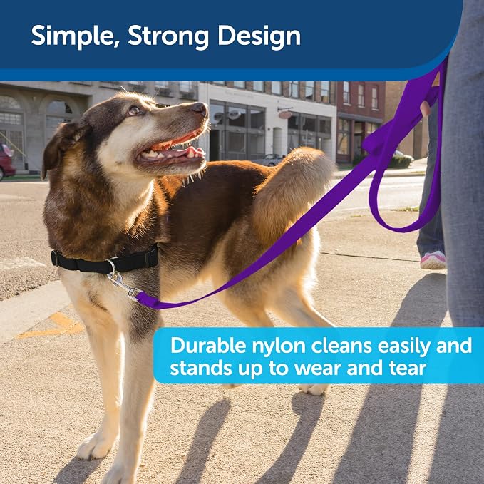 PetSafe Nylon Dog Leash - Strong, Durable, Traditional Style Leash with Easy to Use Bolt Snap - 1 in. x 6 ft., Deep Purple | Durable Nylon Leash with Easy on/off Bolt Snap Hook, Pairs Perfectly with Easy Walk Harness and Gentle Leader Headcollar