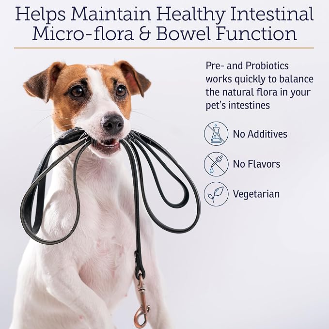 Rx Vitamins Rx Biotic - Probiotic Powder for Dogs and Cats - 1.25oz