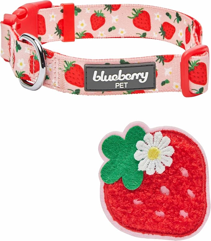 Blueberry Pet Harvesting Strawberry Dog Collar, Adjustable Small Size, Neck 12”-16”, Strawberry Print, Summer Fruit Pet Collar