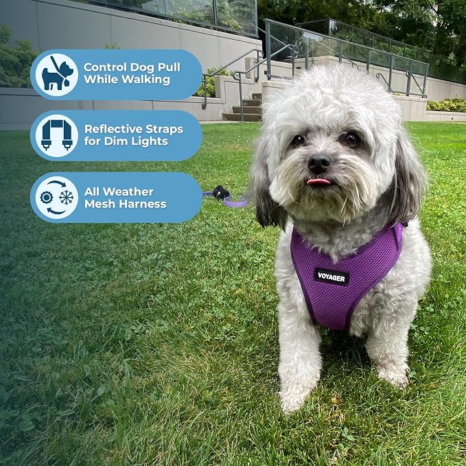 Air Frontier Mesh Dog Harness with Steel Leash D-Ring, Reflective Stitching, and Lightweight Breathable No-Pull Design, Adjustable Neck and Chest Straps for Small to Large Breeds - PPW, XS