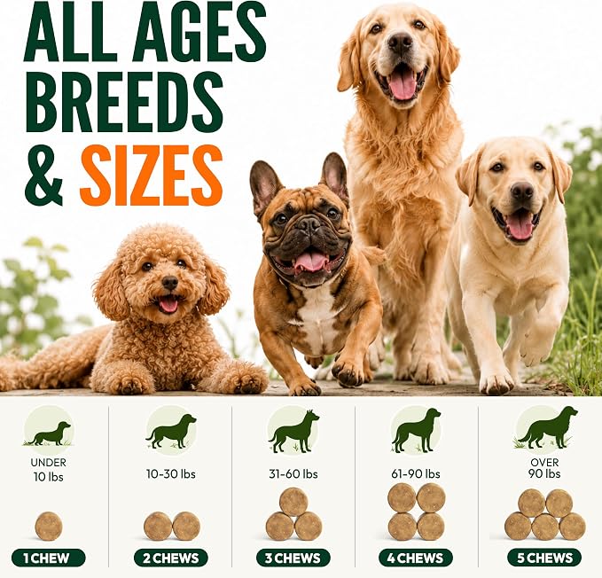 Glucosamine for Dogs, 170 Chews, Hip and Joint Supplement for Dogs | Glucosamine Chondroitin for Mobility - MSM & Turmeric - Joint Pain Relief - Advanced Joint Support for Dogs - Made in USA
