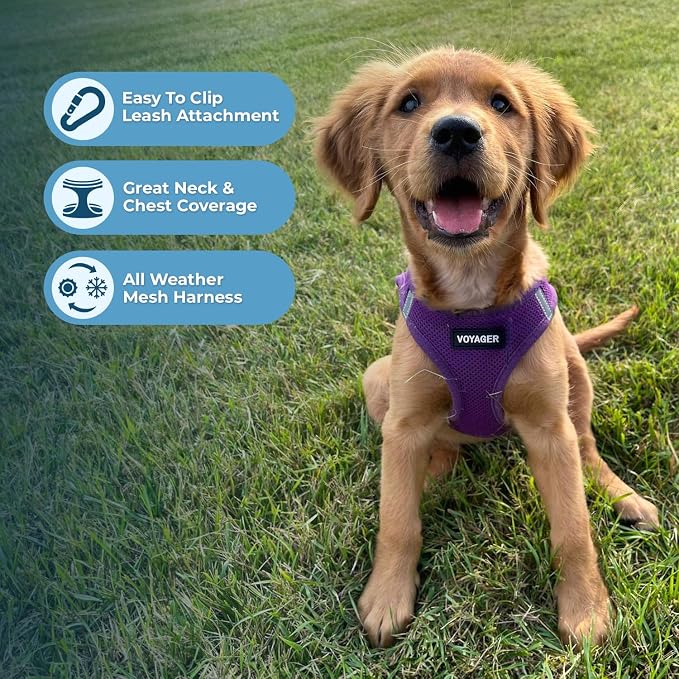 Voyager Step-in Air Dog Vest Harness - Purple, X-Large | 20.5 - 23" in Chest, Reflective Bands, All Weather Breathable Air Mesh, Cats Compatible, Lightweight, Fast Drying