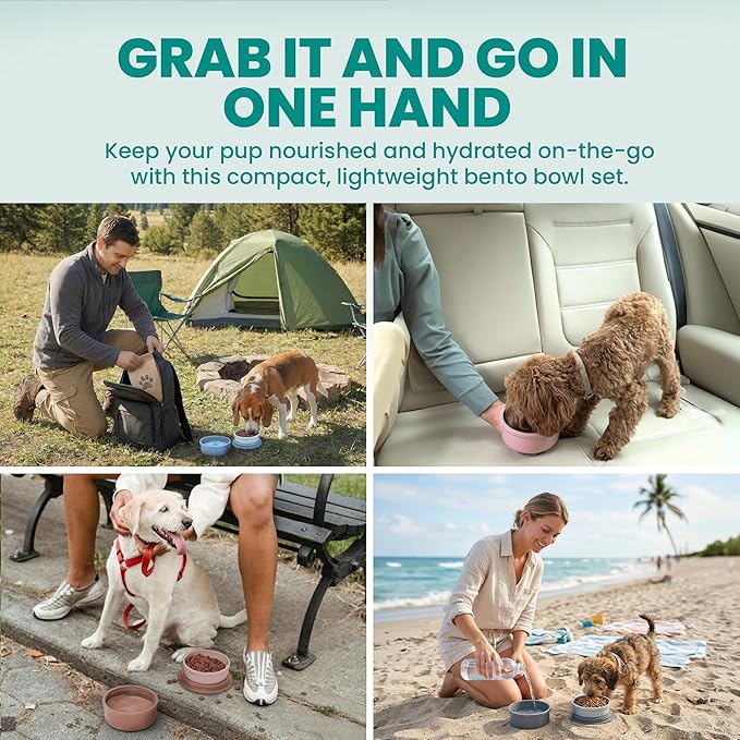 KindTail Dog Travel Bowls, Set of 2, with Lid & Handle