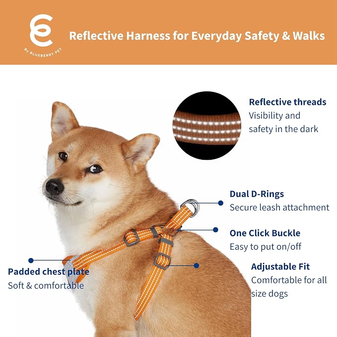 Blueberry Pet Essentials No Pull Dog Harness, Large, Apricot - Reflective Dog Harness Medium Sized Dog & Dog Harness for Large Dogs - Puppy Harness with Breathable Mesh, Eco-Friendly Buckle