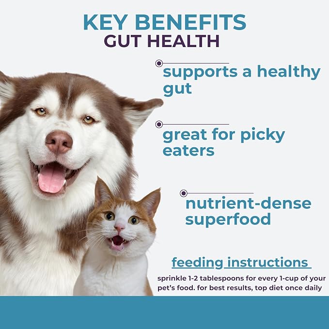 Momentum Carnivore Nutrition Freeze-Dried Gut Health Topper for Dogs & Cats – Turkey Gizzard, Raw Goat Milk, Ginger & Dandelion Root – 3 oz Bag