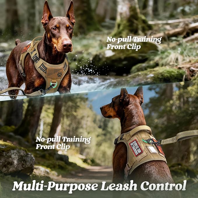 rabbitgoo Tactical Dog Harness for Large Dogs, No Pull Service Pet Vest | Military Molle System & Easy Control Handle, Adjustable and Reflective for Walking and Training, Brown, Large
