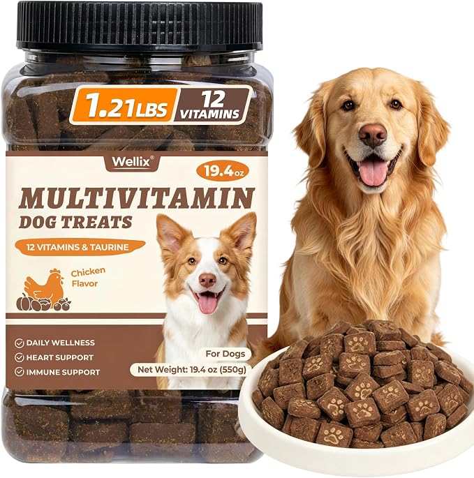 Wellix 12-Vitamin Dog Treats for Immune Support, Crunchy Dog Biscuits