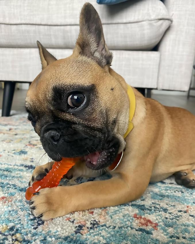 Nylabone Puppy Chew Freezer Textured Knuckle Bone Dog Chew Toy, Small | Lamb & apple flavor, freezable for added comfort, turns orange when frozen, soothing teething toys for puppies, up to 25 lbs