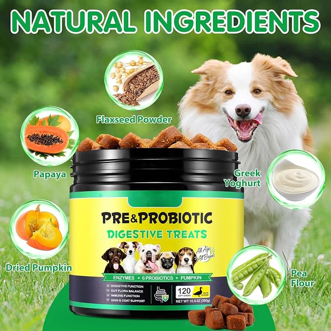 Probiotics for Dogs Chews – Digestive & Gut Health Support, Helps Maintain Stool Quality & Balance During Food Changes, with Prebiotics & Enzymes, Chicken Flavor, 120 Soft Chews