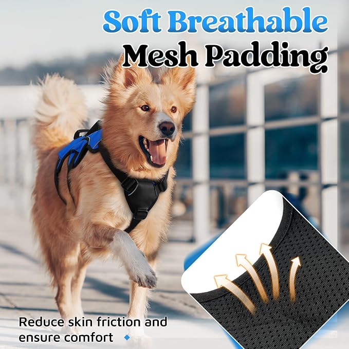 rabbitgoo Escape Proof Dog Harness for X-Large, No Pull with Lift Handle | No Escape, Full Soft Padded, Reflective Adjustable Vest, Leash Clip for Walking Hiking Training, Blue, X-Large