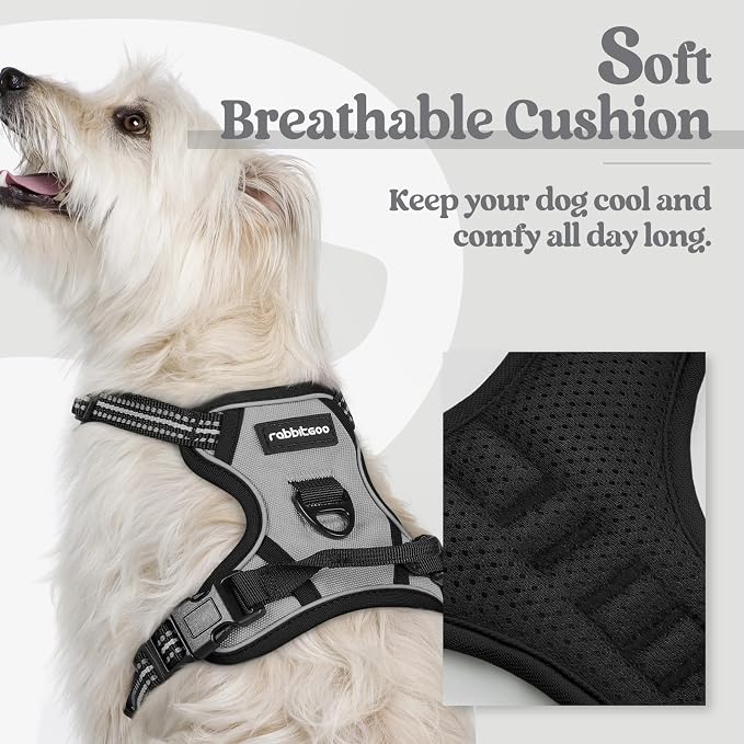 rabbitgoo Dog Harness No Pull with 2 Leash Clips, Adjustable Soft Padded, Reflective Oxford No Choke Pet Vest with Easy Control Handle for Puppy, Grey, XS | No Choke with Handle, Adjustable Soft Padded, Reflective, Easy Control for Walking, Gray, X-Small