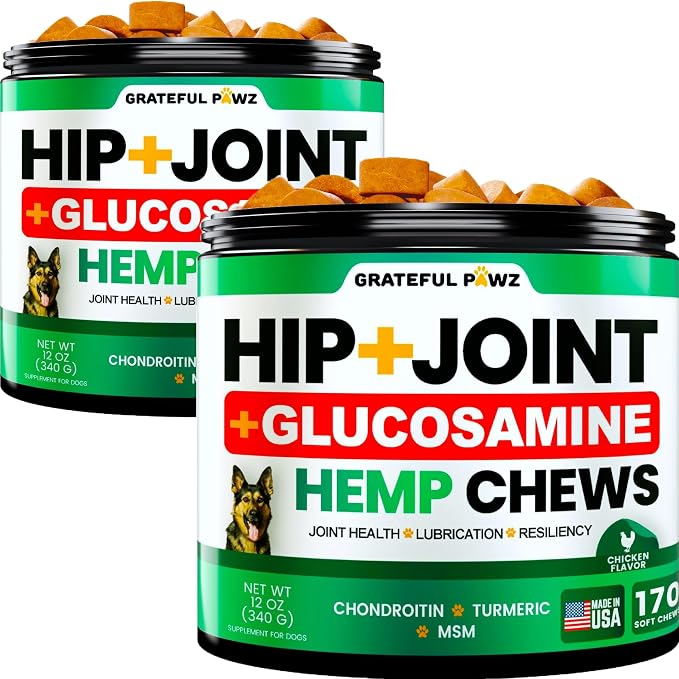 (2 Pack) Hemp Hip and Joint Supplement for Dogs - Glucosamine for Dogs