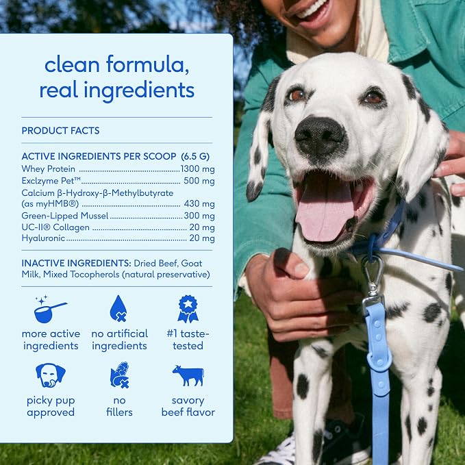 Native Pet Hip and Joint Supplement Dogs - Powder with UC-II Collagen and HMB - Senior and Large Breed Dog Joint Support - Made in USA - 60 Scoops