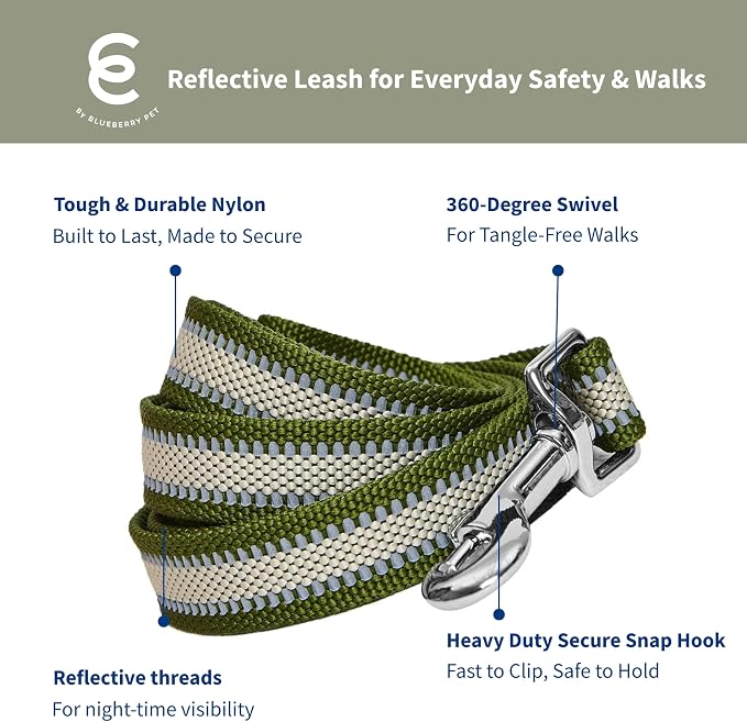 Blueberry Pet Essentials Reflective Better Basics Dog Leash, Dark Olive, 5 ft x 3/4", Medium, Leashes for Dogs
