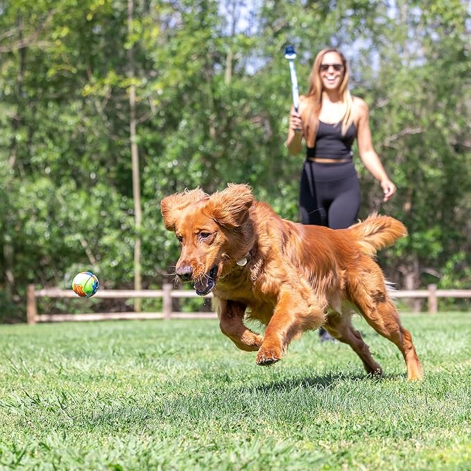 Chuckit! Dog Ball Launcher - EcoFetch 12 with Medium (2.5"), Dog Fetch Ball Thrower, for Dogs 20-60 Pounds, Made in USA