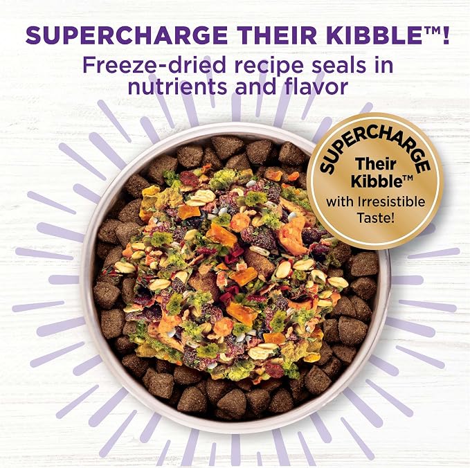 Wellness Bowl Boosters Immune Health Dog Food Topper with Freeze Dried Pieces for Small, Medium, and Large Breeds, Grain Free, Natural, Plant Based, 4 oz Bag