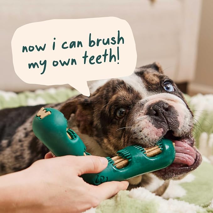 WOOF The Bite n' Brush - Dog Toothbrush Toy - Scrub Plaque and Tartar from Your Dog's Teeth and Mouth - Dog Dental Chew Toy - Small