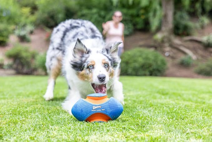 Chuckit! Giggle Fumble Fetch Ball Dog Toy 7.9", Makes Funny Giggle Sounds | Interactive, no batteries required, encourages active play for all breeds and sizes, keeps curious pups engaged every day