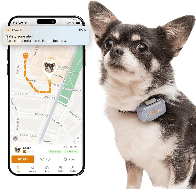 Pawfit Lite 4G GPS Dog Tracker, Live Tracking, Ultra-Light, Lilac Grey