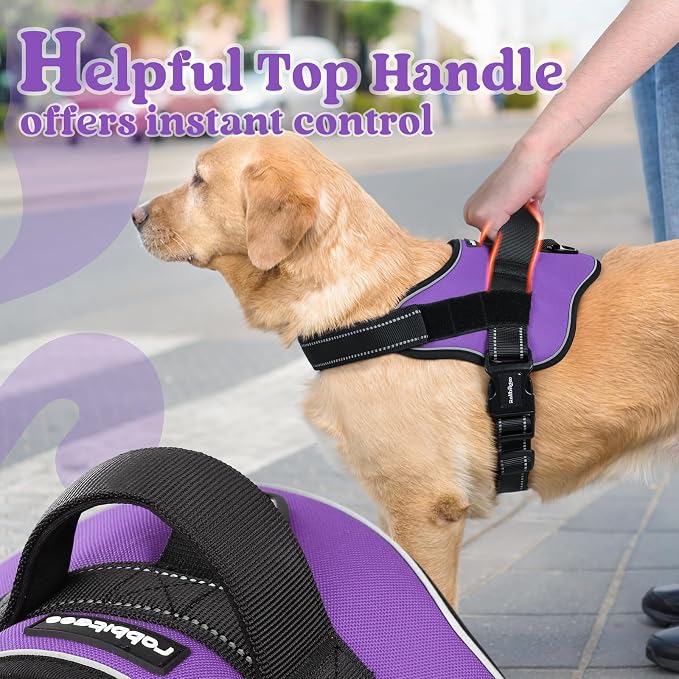rabbitgoo No Pull No Choke Pet Vest, Adjustable Pet Harness with Molle | Medium Sized Dog Harness, Reflective, Easy Wearing with One Buckle for Walking, Training, Purple, M