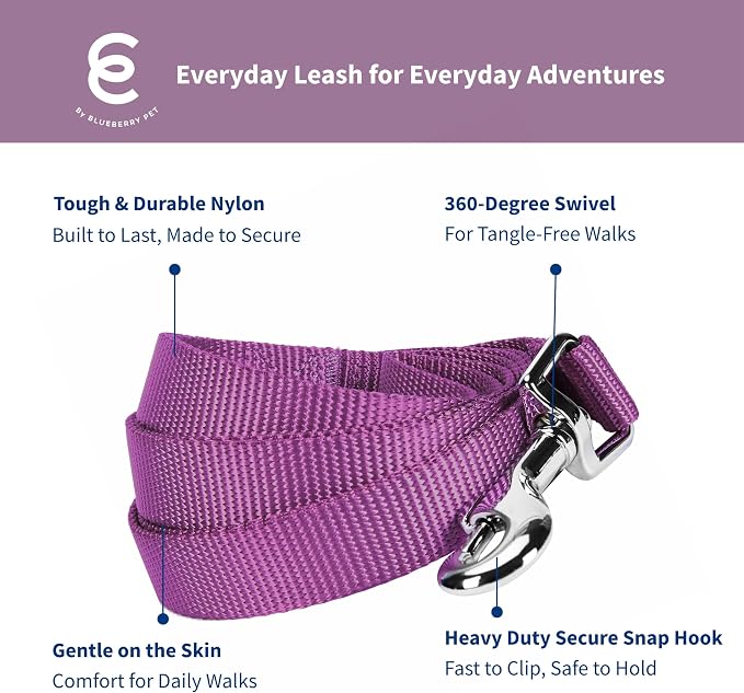 Blueberry Pet Essentials Violet Dog Leash for X-Small -5' * 3/8" Dogs | Heavy Duty Nylon Lead | Lightweight Puppy & Cat Leash for Walking & Training