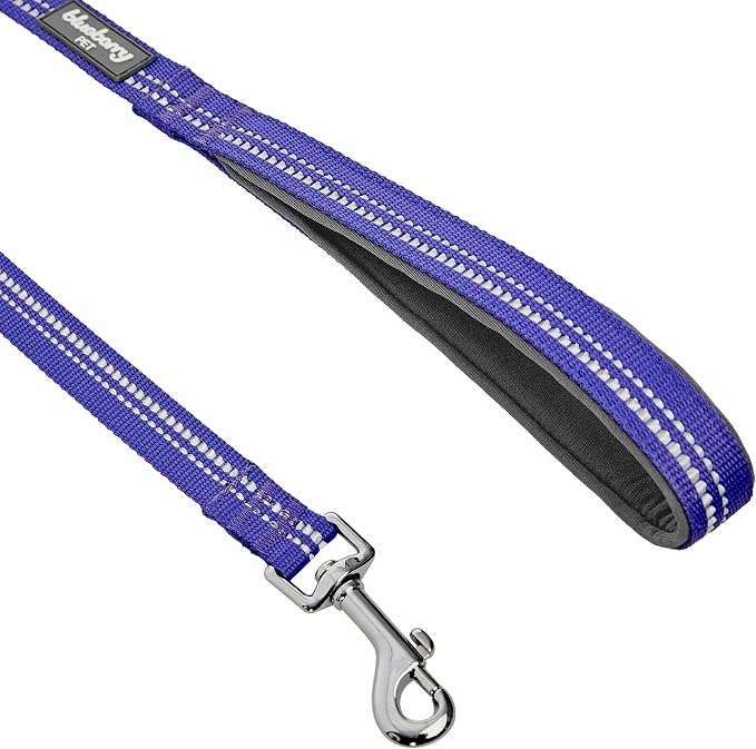 Blueberry Pet 3M Reflective Pastel Color Dog Leash with Soft & Comfortable Handle, 4 ft x 1", Violet, Large, Leashes for Dogs