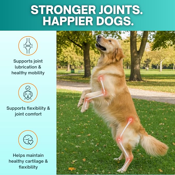 CM Joint Care for Dogs Hip & Joint Supplement, 120 Chewable Tablets