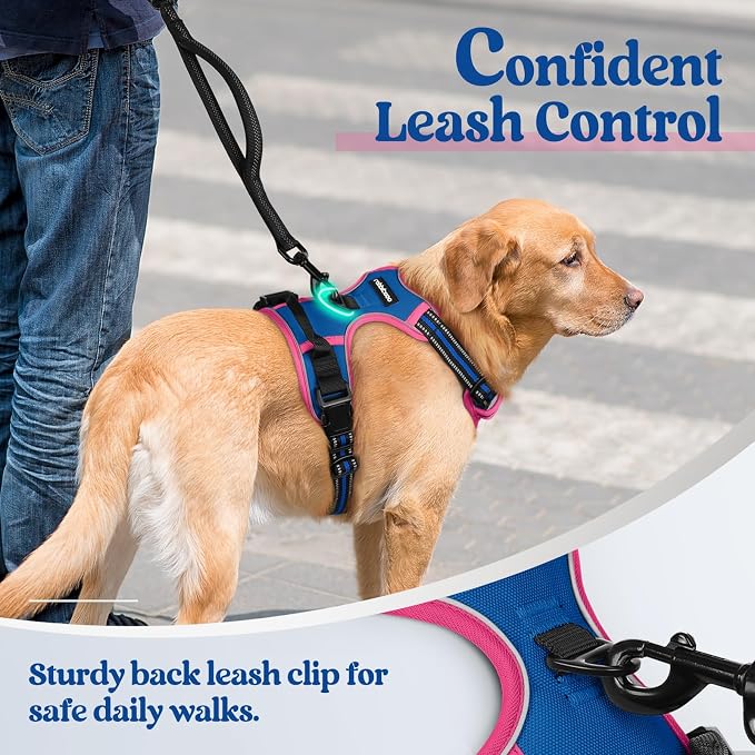 rabbitgoo Dog Harness, No Pull Medium Sized with 2 Leash Clips, Pet Vest | No Choke with Handle, Adjustable Soft Padded, Reflective, Easy Control for Walking, Blue & Hot Pink, Medium