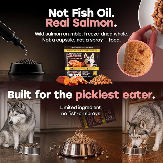 Wild Catch Treats – Freeze Dried Salmon & Sweet Potato Dog Treats – Single Protein, 43% Protein, 3% Omega-3 – Raw Training Treats & Meal Topper – Grain Free – 5.5 oz (300 Count)
