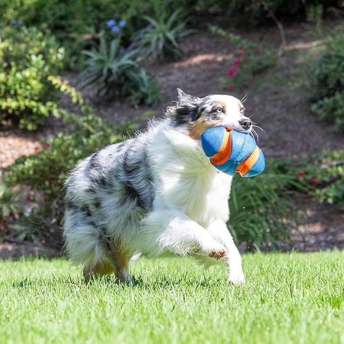 Chuckit! Giggle Fumble Fetch Ball Dog Toy 7.9", Makes Funny Giggle Sounds | Interactive, no batteries required, encourages active play for all breeds and sizes, keeps curious pups engaged every day
