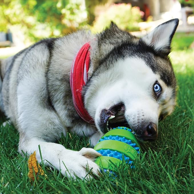 KONG Goomz Dog Toy – Durable Squeaky Chew Ball for Dental Health, Teeth & Gums Massage, Indoor/Outdoor Fetch Play (Football/Ball Combo)
