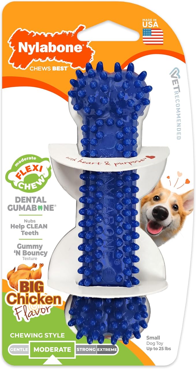 Nylabone Flexi Chew Dental Gumabone Dog Chew Toy, Chicken Flavor, Small | Dog toys for small dogs up to 25 lbs, teeth-cleaning textures, flexible material, gentle on teeth, great for seniors