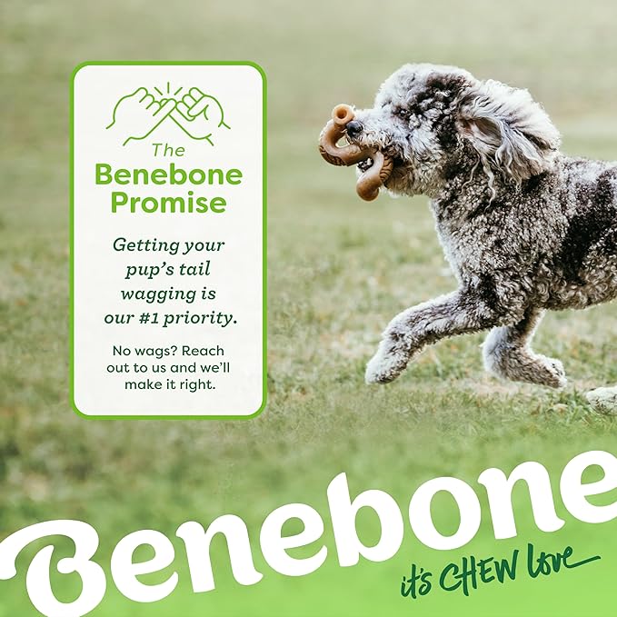 Benebone Tripe Bone Durable Dog Chew Toy for Aggressive Chewers, Real Tripe, Made in USA, Giant