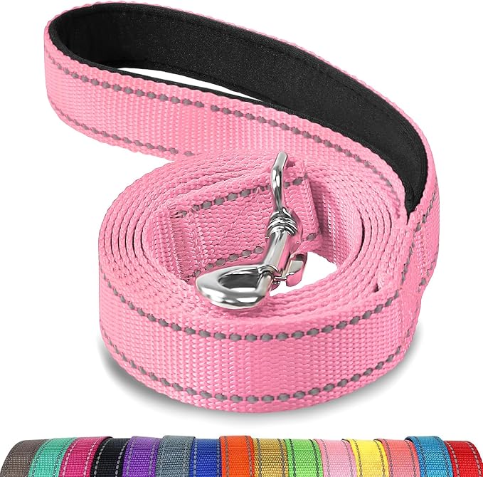 Joytale Reflective Dog Leash for Medium & Large Dogs, 4 FT x 1", Pink | Heavy Duty Nylon Webbing, Padded Handle for Comfort, Visible at Night, for Walking & Training