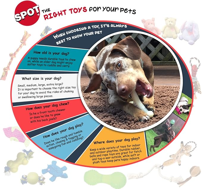 SPOT Play Strong Bone- Durable TPR Long Lasting Dog Chew for Aggressive Chewers, Hole for Treats, Virtually Indestructible Toy for Medium & Large Dogs & Puppies - 6.5 inch