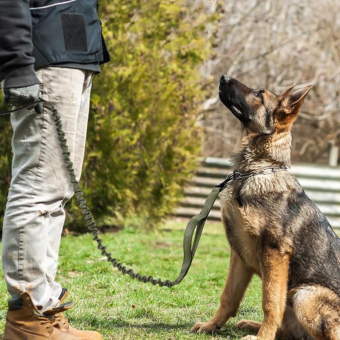 rabbitgoo Tactical Dog Leash, Heavy Duty Training Bungee Lead | Military Leash with 2 Padded Control Handles for Medium Large Dogs, No Pull for Shock Absorption, Reflective, Green, 5.2FT