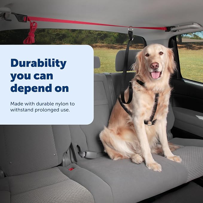 PetSafe Happy Ride Dog Zipline Car Leash | Secures Dog in Backseat While Allowing Mobility, Reduces Driver Distraction, Durable Nylon, Fits Most Vehicles, All Dog Sizes