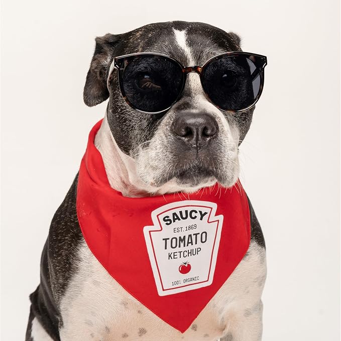 Ketchup Bottle Cook Out Condiments Dog Bandanas, One Size, Red