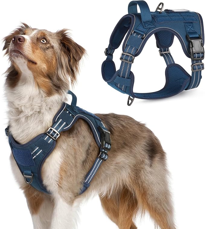 rabbitgoo Tactical Dog Harness for Medium, No Pull Military Service Vest | Molle & Handle, Heavy Duty, Adjustable, Reflective Straps, Easy Control for Training Walking, Blue, Medium